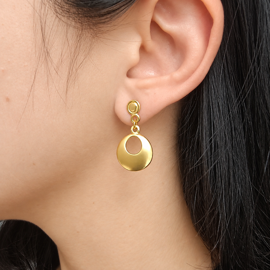 🌿 Aretes Nariguera cultura Nariño