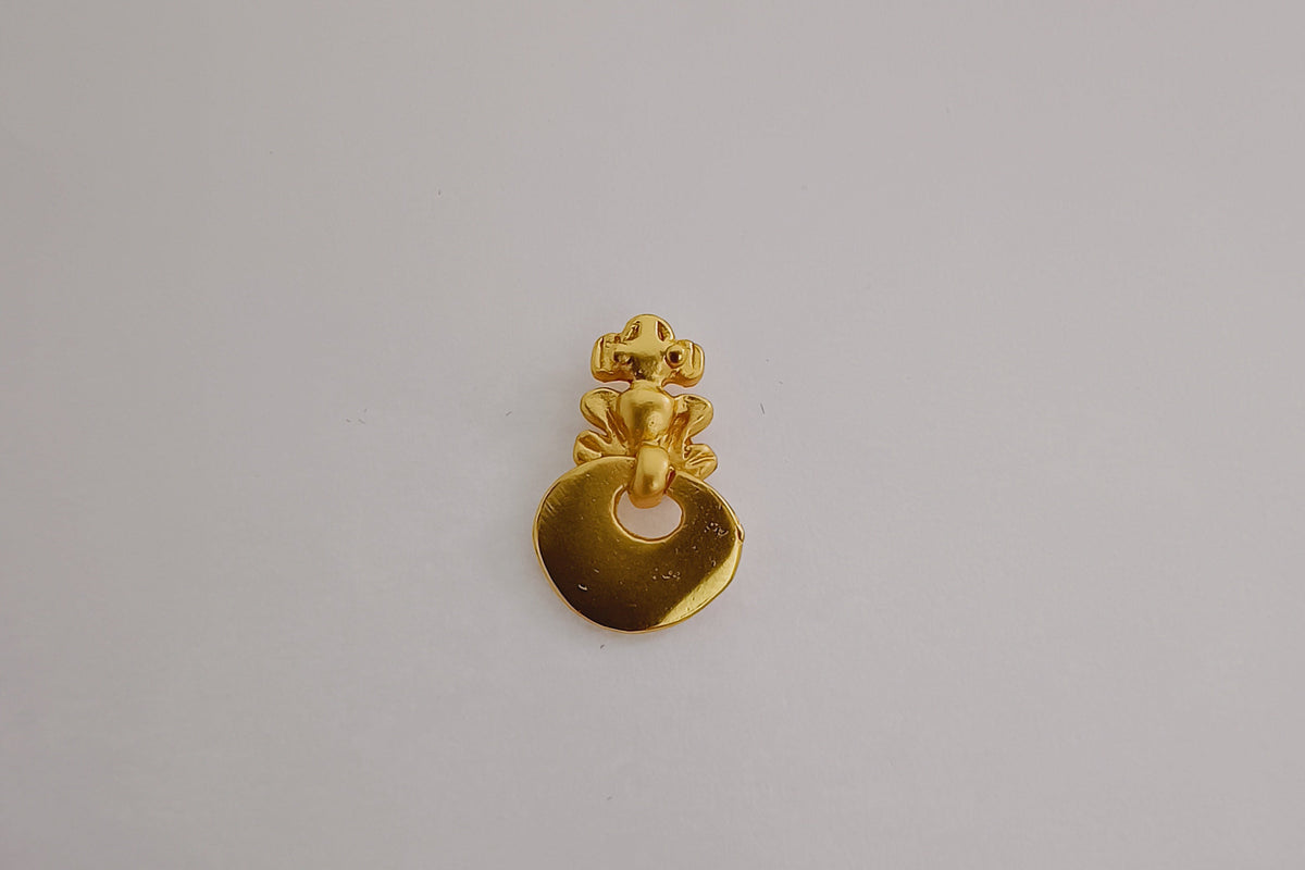 🐸 Topos Rana Quimbaya - Metamorfosis