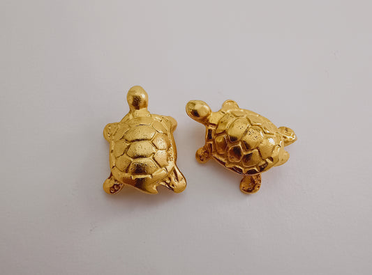 🐢 Topos Tortugas
